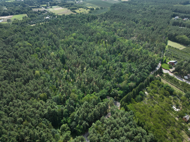 Działka Sprzedaż Tarczyn 4