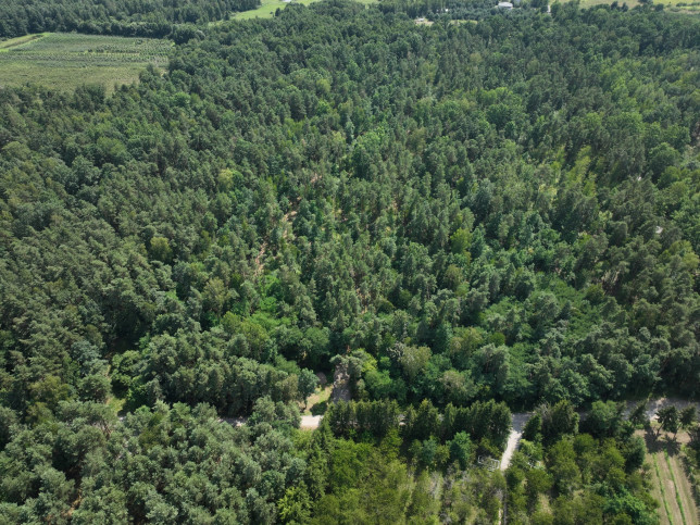 Działka Sprzedaż Tarczyn 5