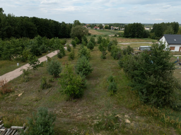 Działka Sprzedaż Kruszew