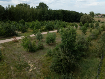 Działka Sprzedaż Kruszew