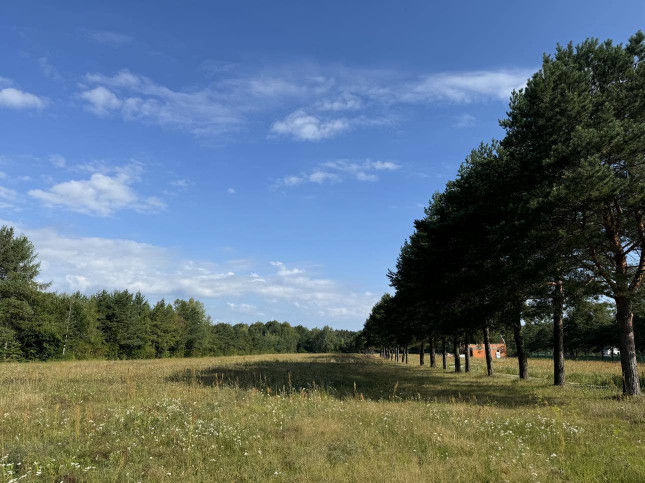 Działka Sprzedaż Piskórka 2