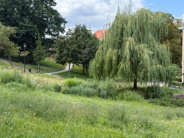 Mieszkanie Sprzedaż Warszawa Śródmieście Bednarska 13